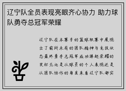 辽宁队全员表现亮眼齐心协力 助力球队勇夺总冠军荣耀